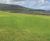 PM 90 Coastal grass seed mix 0