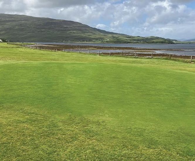 PM 90 Coastal grass seed mix