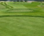 MM50 grass seed mixture for golf tees, fairways and divot repairs