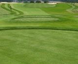 MM50 grass seed mixture for golf tees, fairways and divot repairs - on this page
