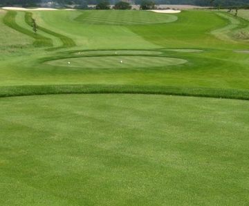 MM50 grass seed mixture for golf tees, fairways and divot repairs