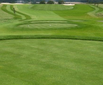 MM50 grass seed mixture for golf tees, fairways and divot repairs
