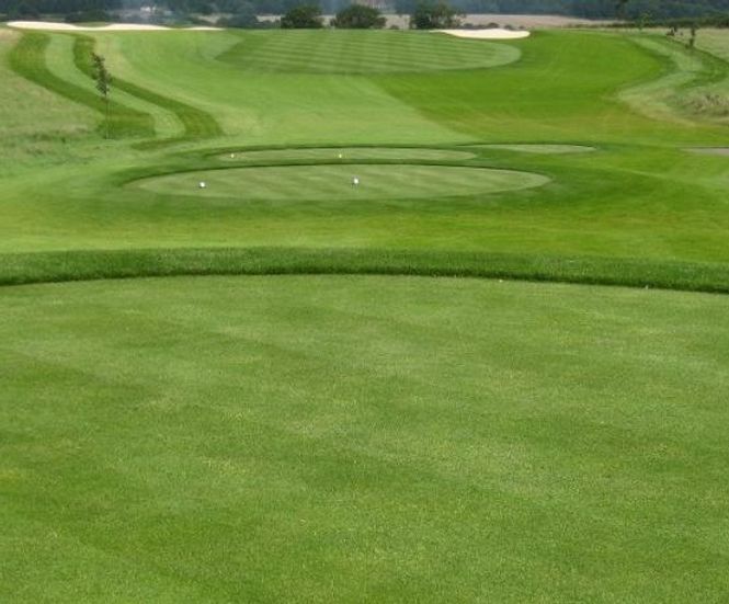 MM50 grass seed mixture for golf tees, fairways and divot repairs