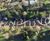 Titan edging creates paths for RHS Wisley's Glasshouse Borders 5