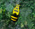 Bumblebee Outdoor Musical Instrument 2