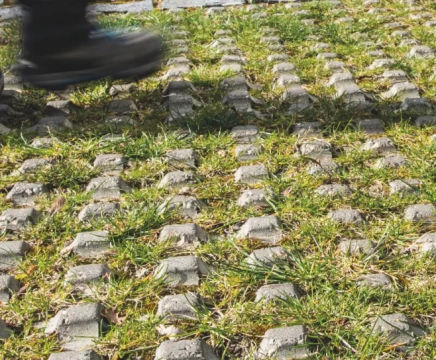 Grassgrid
