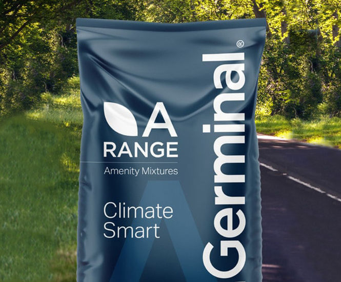 A18 Road Verge and Embankments - grass seed mix