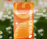 Urban Meadow - grass seed range
