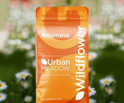 Urban Meadow - grass seed range