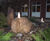 Boulder fountain kits 0