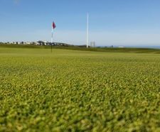 MM Coastal grass seed mixture for greens, tees and fairways