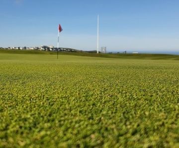 MM Coastal grass seed mixture for greens, tees and fairways