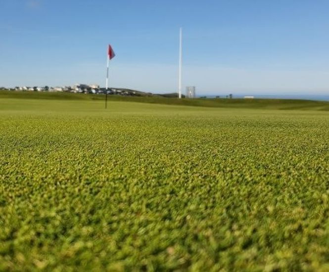 MM Coastal grass seed mixture for greens, tees and fairways
