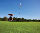 PM 5 Economy Green grass seed mixture for golf and bowling greens - on this page