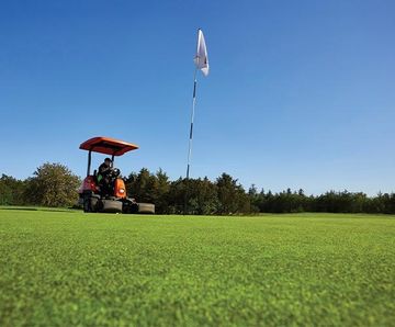 PM 5 Economy Green grass seed mixture for golf and bowling greens