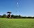 PM 5 Economy Green grass seed mixture for golf and bowling greens 0
