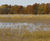 PM 28 Wetland formulation grass seed for damp / waterlogged soils 0