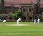 PM 35 Universal seed for cricket squares, tees and tennis courts