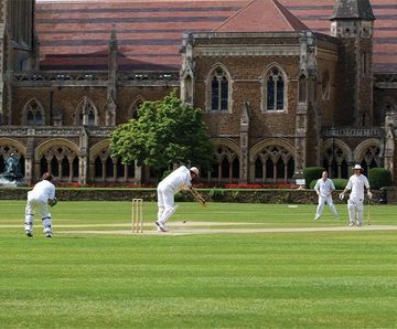 PM 35 Universal seed for cricket squares, tees and tennis courts
