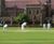 PM 35 Universal seed for cricket squares, tees and tennis courts 0