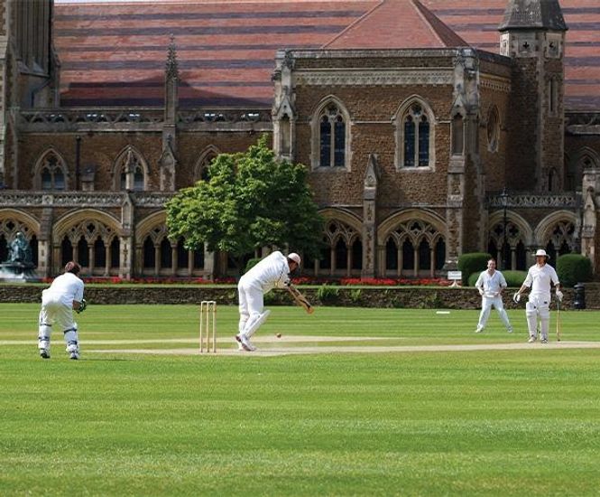 PM 35 Universal seed for cricket squares, tees and tennis courts
