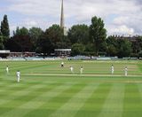 PM 36 Wicket seed for cricket wicket, tennis and tee renovations - on this page