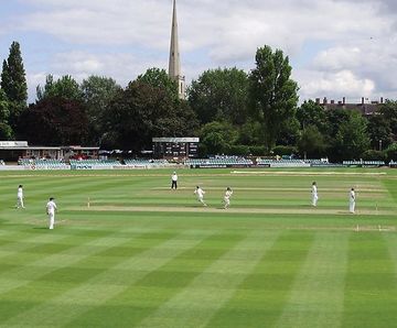 PM 36 Wicket seed for cricket wicket, tennis and tee renovations