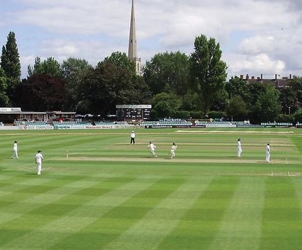 PM 36 Wicket seed for cricket wicket, tennis and tee renovations