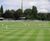 PM 36 Wicket seed for cricket wicket, tennis and tee renovations 0