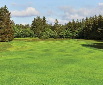 PM 45 Tee and Fairway Plus grass seed for golf and cricket