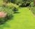 PM 52 Greenfine grass seed mix for fine lawns without ryegrass 0