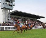 PM 65 Heavy Wear grass seed mix for race courses and polo grounds