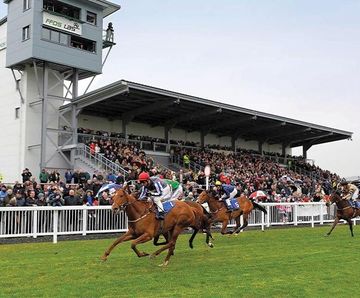 PM 65 Heavy Wear grass seed mix for race courses and polo grounds