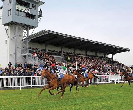 PM 65 Heavy Wear grass seed mix for race courses and polo grounds