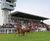 PM 65 Heavy Wear grass seed mix for race courses and polo grounds 0