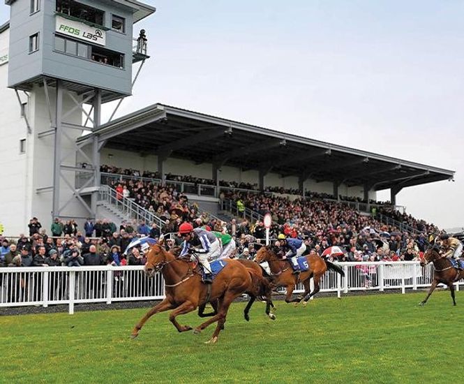 PM 65 Heavy Wear grass seed mix for race courses and polo grounds