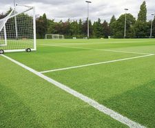 PM 79 Playing Field grass seed mix for sportsfield renovations