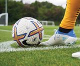 PM 80 Renovator grass seed mix for sports pitch renovations - on this page