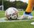 PM 80 Renovator grass seed mix for sports pitch renovations 0