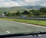 PM 85 Road Verge grass seed mixture - on this page