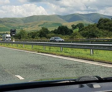 PM 85 Road Verge grass seed mixture