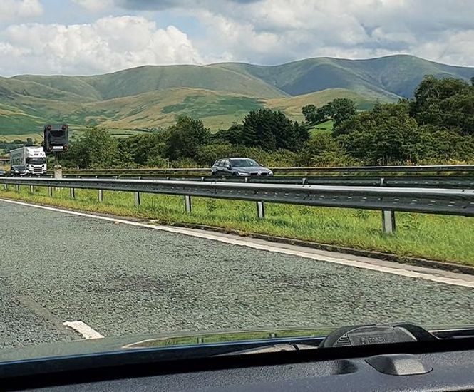 PM 85 Road Verge grass seed mixture