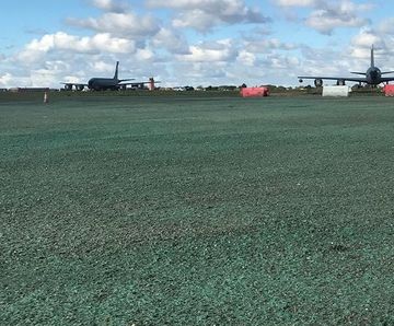 PM 125 Clearsky grass seed for bird control at airports