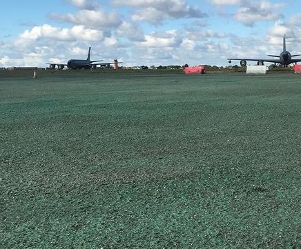 PM 125 Clearsky grass seed for bird control at airports