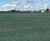 PM 125 Clearsky grass seed for bird control at airports 0
