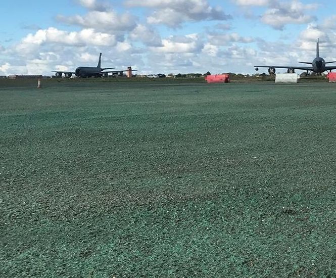 PM 125 Clearsky grass seed for bird control at airports