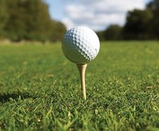 PM 40 Tee and Fairway for tees, fairways and cricket outfields