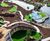 Seating and cycle parking for new adventure golf centre 5
