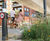 AquaCell Core R - smart rain garden in Central London 2