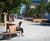 Seating and litter bins - All Saints Park, Manchester 9